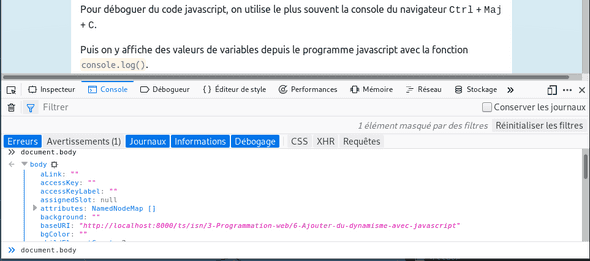 Copie d'écran de la console du navigateur web
firefox