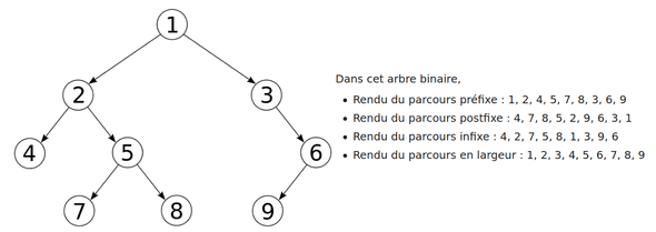 parcours arbres wikipedia